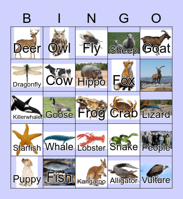 Animals Bingo Card