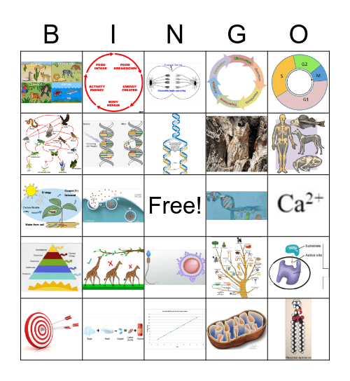 Biology Bingo Card