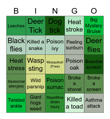 archaeological test pitting Bingo Card