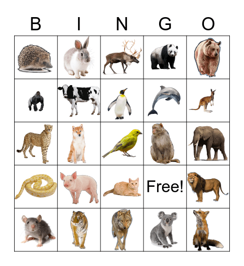 Animal Bingo! Bingo Card
