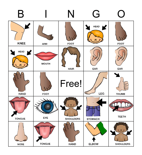 Body Parts Bingo Card