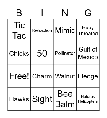 Hummingbird Bing!!!! Bingo Card