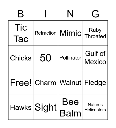Hummingbird Bing!!!! Bingo Card