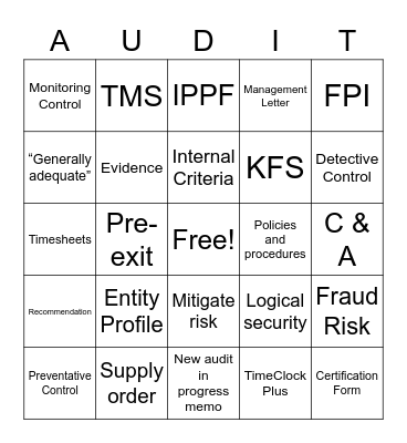 Internal Audit Bingo - Set 2 Bingo Card