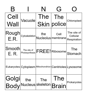 Cell Organelle Bingo!  Bingo Card