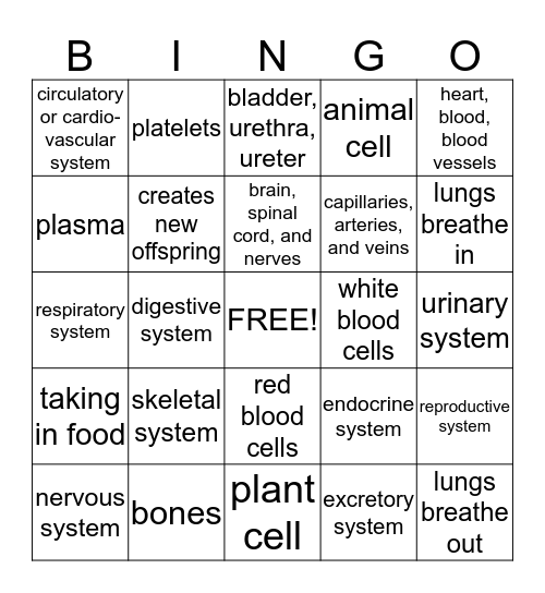 Biology - the study of living things Bingo Card
