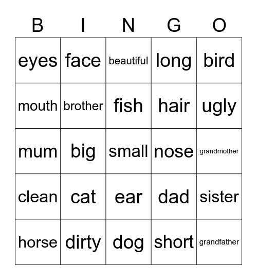 Review 2°ano Bingo Card