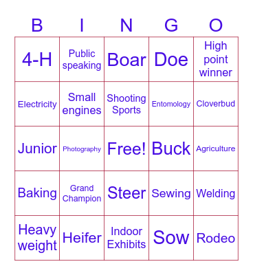 2020 Fair Bingo Card