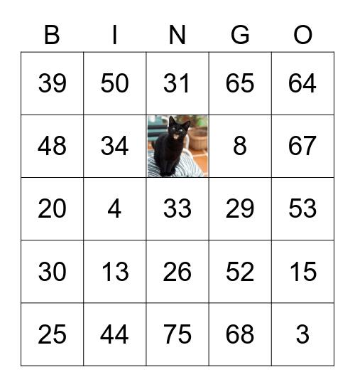 NOAH'S BIRTHDAY Bingo Card