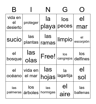 Spanish Words Bingo Card