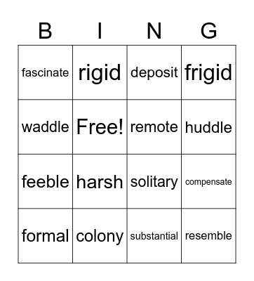 Vocabulary Bingo Card