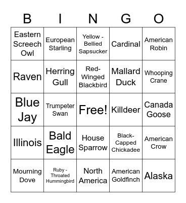 North American Birds Bingo Card