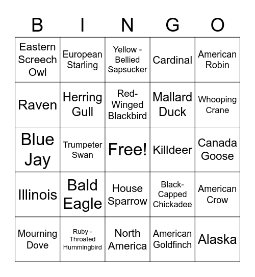 North American Birds Bingo Card