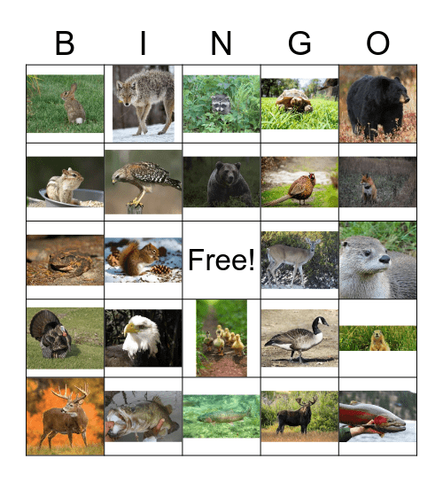 Outdoor Enthusiasts Bingo Card