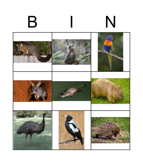 Australian animals Bingo Card