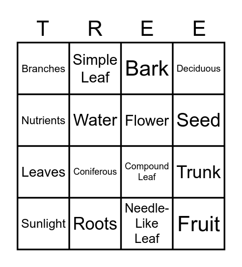 Parts of a Tree Bingo Card