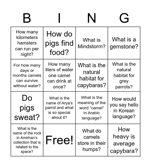 Quiz Bingo Card