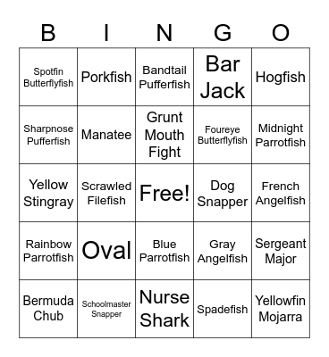 Coral City Camera BINGO Card