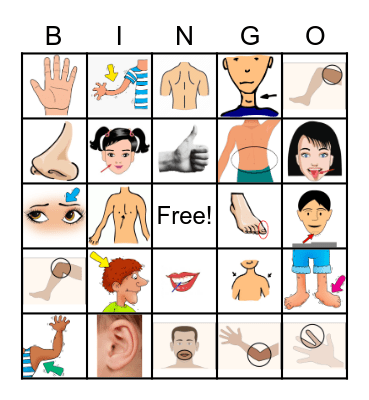 Part of Body Bingo Card
