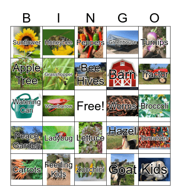 Farm Gala Bingo Card