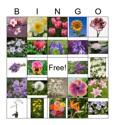Flowers Bingo Card