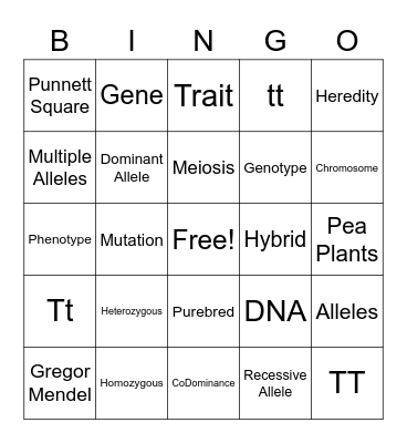 Heredity Bingo Card