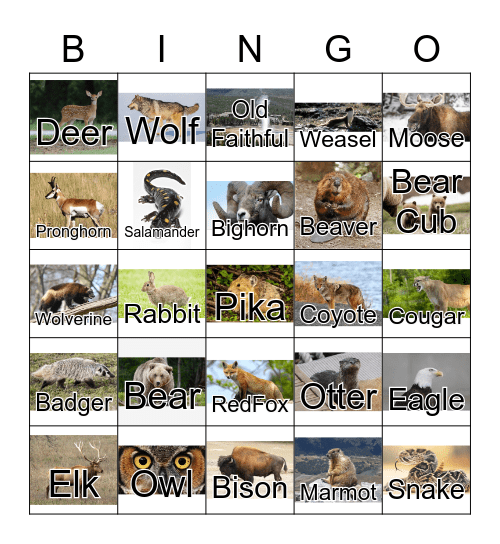 Yellowstone Bingo Card