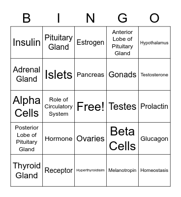 Endocrine System Bingo Card