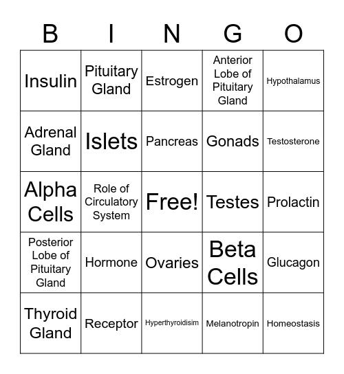 Endocrine System Bingo Card