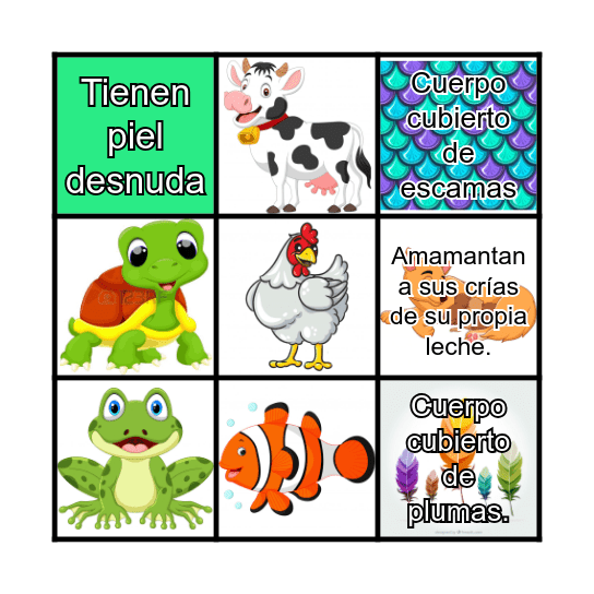 Animales Vertebrados Bingo Card