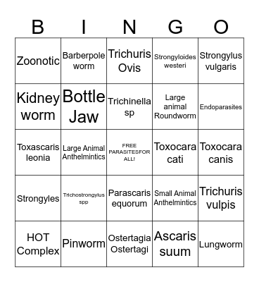 VT216 Parasite Bingo (Nematodes) Bingo Card