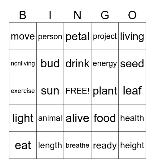 Unit 1.2 Vocabulary Bingo Card