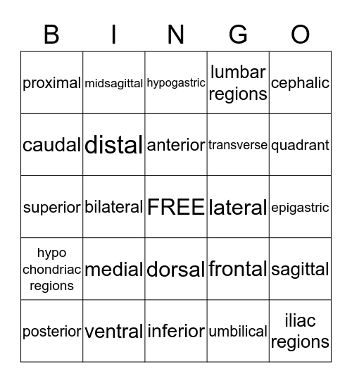 Chapter 2 Directional Terms  Bingo Card