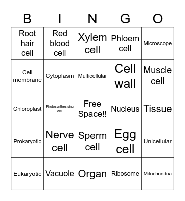 Miss Webb's Specialised Cells Bingo Card