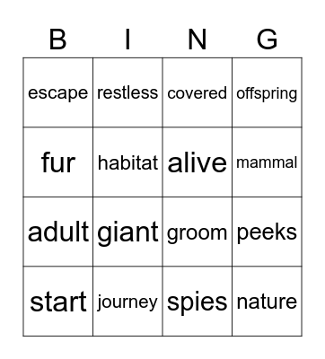 Vocabulary Bingo Card