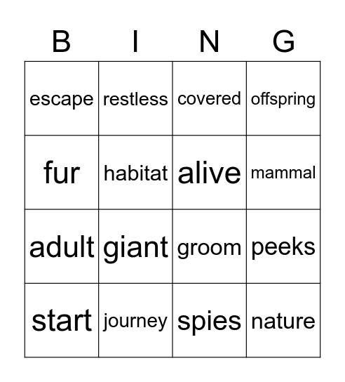 Vocabulary Bingo Card