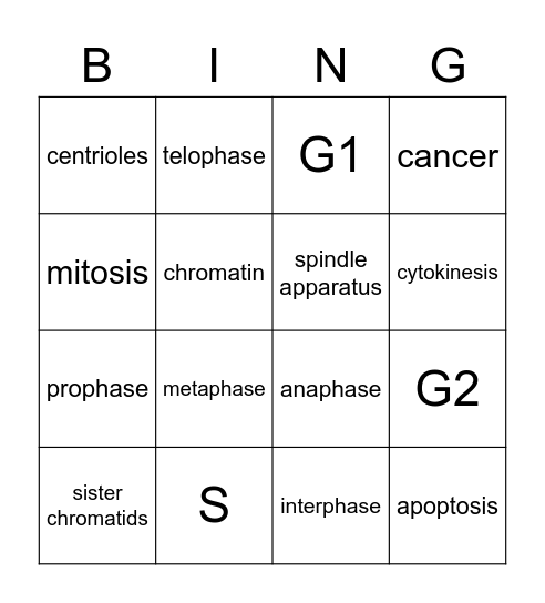 mitosis Bingo Card