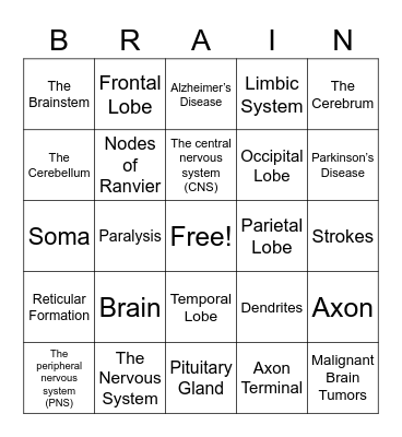 Nervous Tissue , Nervous Tissue Bingo Card