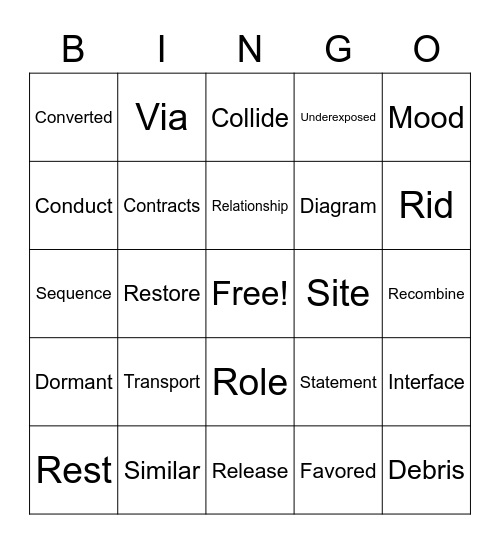 Vocabulary Bingo Card