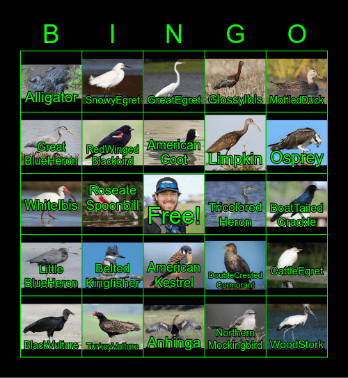 DrWD40 Florida Wildlife Bingo! Bingo Card