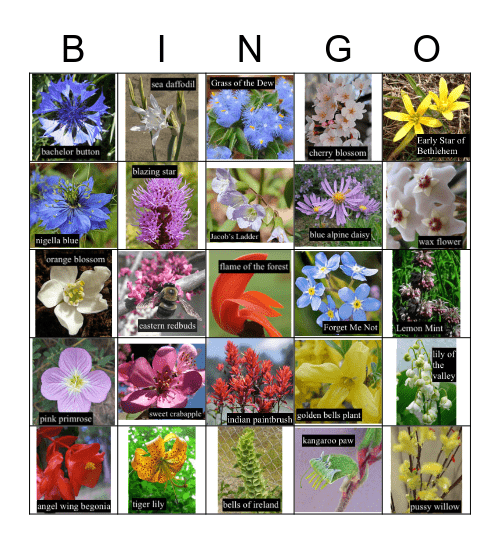 FLOWERS Bingo Card