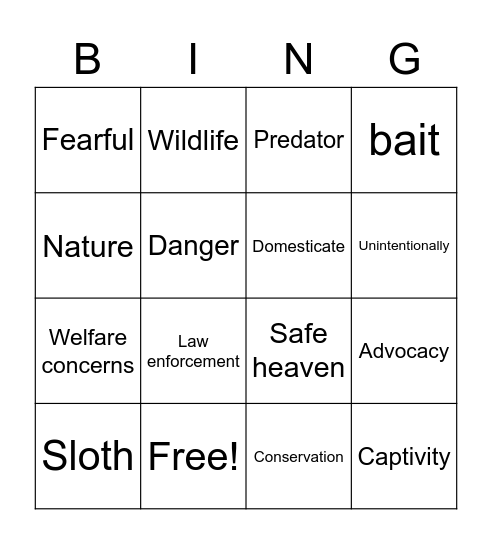 Ecotourism Vocabulary Bingo Card