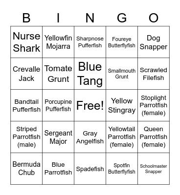Coral City Camera Bingo (Intermediate) Bingo Card