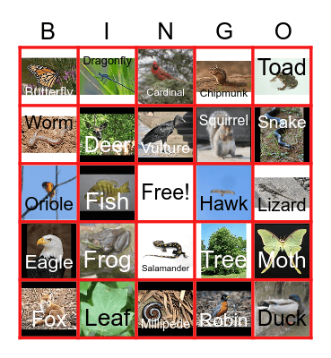 Nature BINGO Card