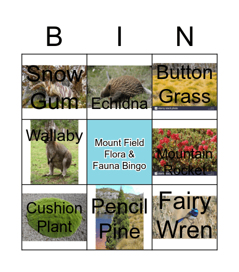 Mount Field Flora & Fauna Bingo Card