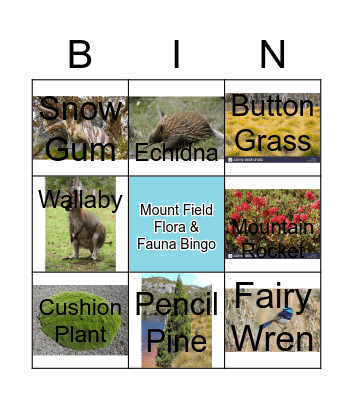 Mount Field Flora & Fauna Bingo Card