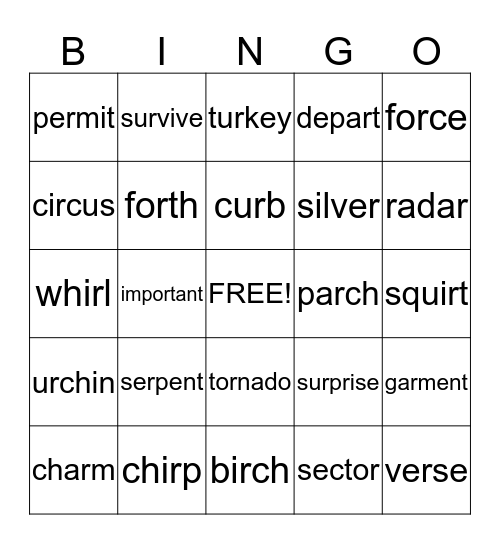 R Family Words Bingo Card