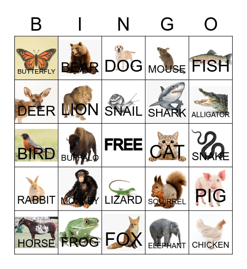 ZOO BINGO ON ZOOM! Bingo Card