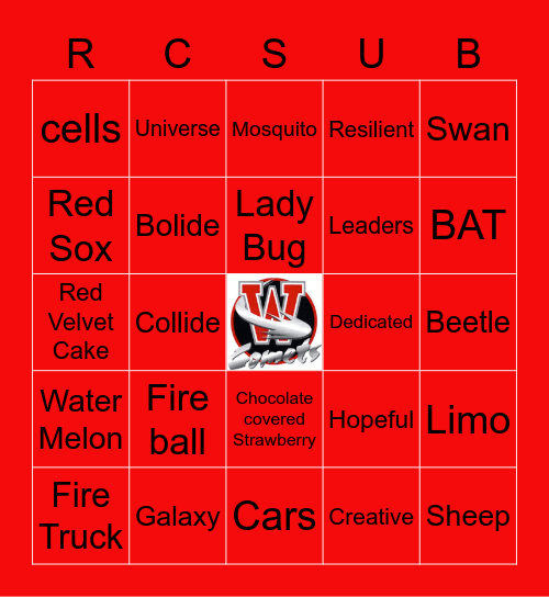 Westchester Comets Game Bingo Card