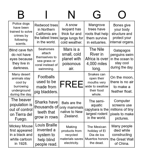 Summary Bingo Card